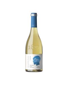 Vin Purcari Sapiens Sauvignon Blanc alb sec 0,75l