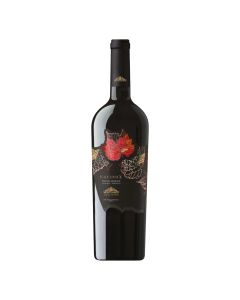 Vin Azienda Montemajor Equinox Aglianico Rosso Amabile IGT 2021 rosu sec 0,75l